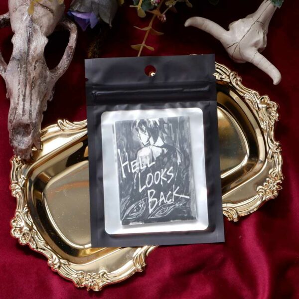 Hell Looks Back Mini Zine - Image 4